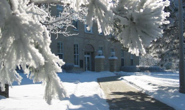 A frost covered tree in the forground frames a snowy campus scene with a cleared path leading to a stone building