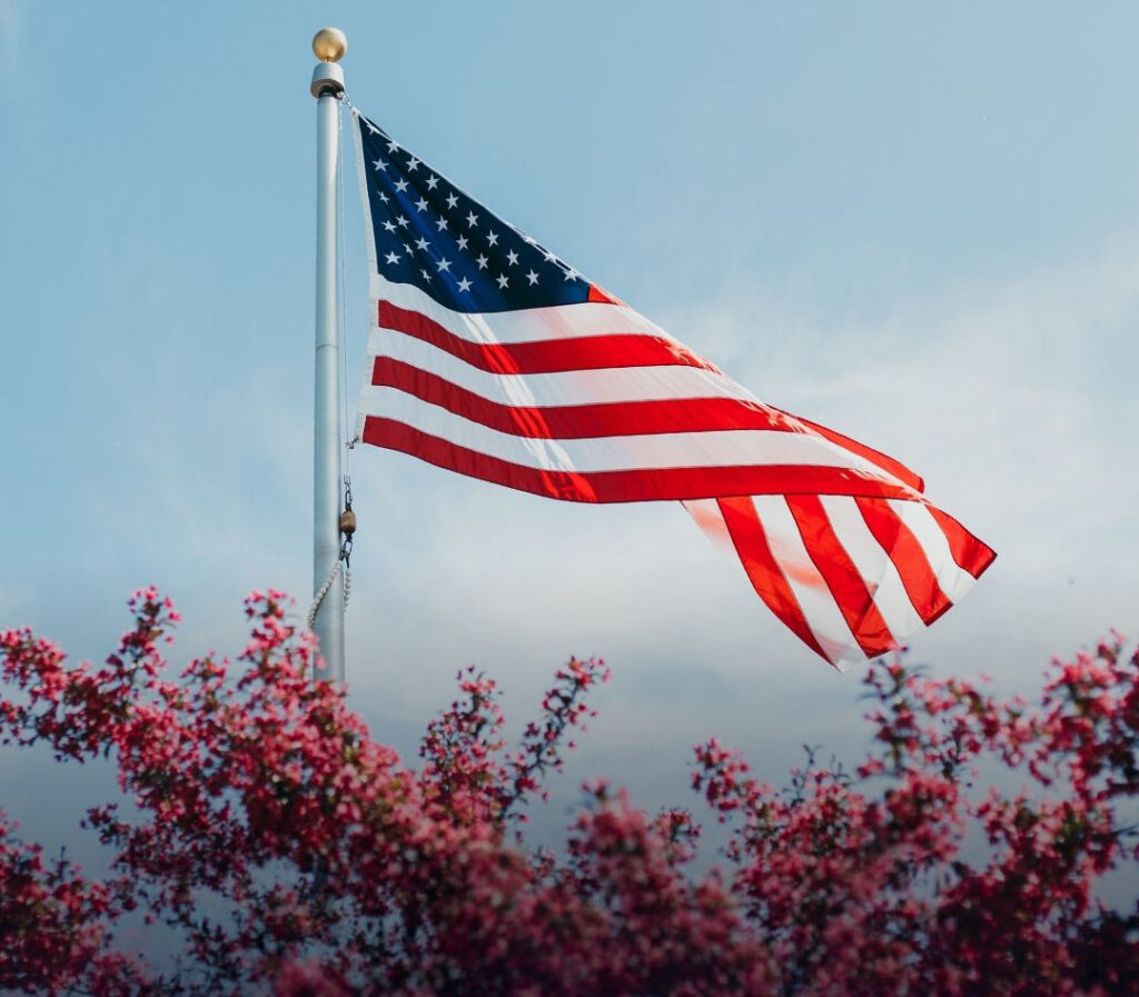 An American flag waving over purple blossoming trees and a blue sky in the background.