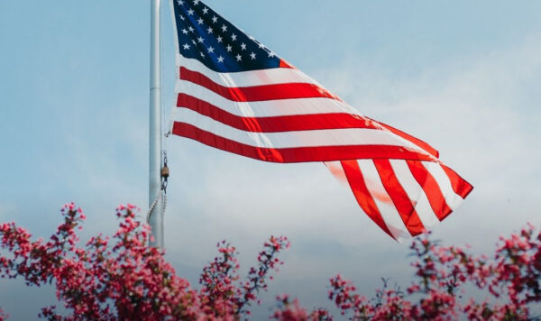 An American flag waving over purple blossoming trees and a blue sky in the background.