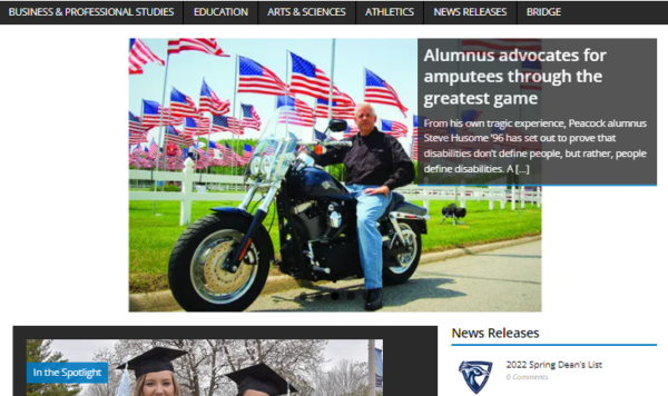 bridge online cover 2