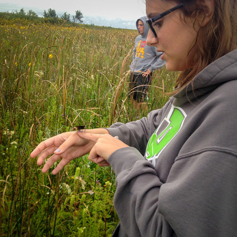 An eii participant notices a large insect while doing field work in a prairie