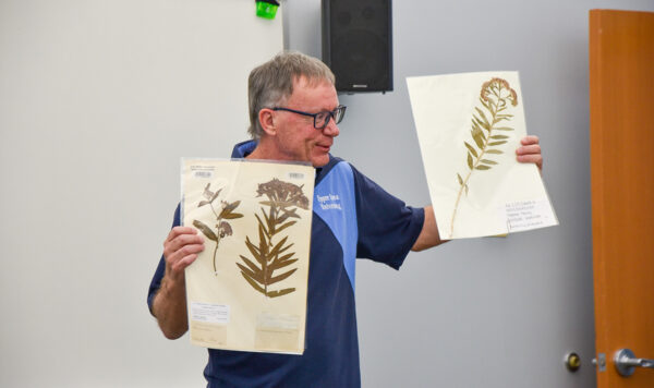 Dr. Figdore showing preserved herbs during a presenation