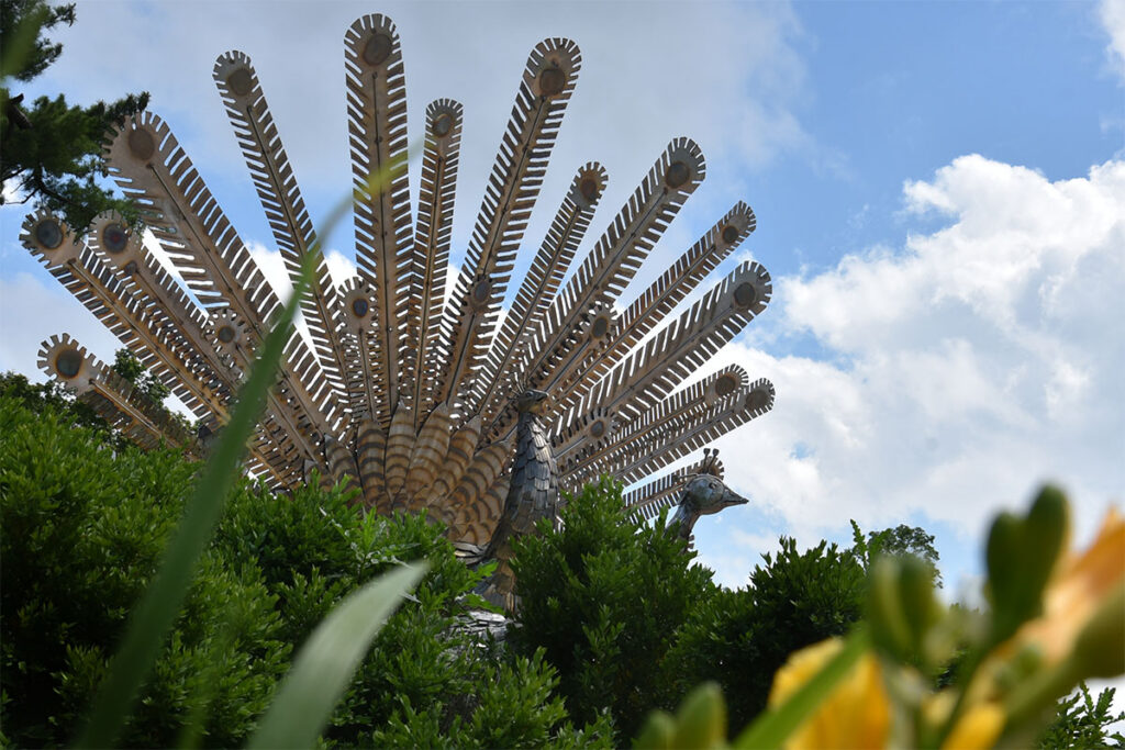 A bronze peacock sculpture with two peacocks, one extending it's feathers in a large display, with green foliage in the foreground and a blue sky with puffy clouds in the background.