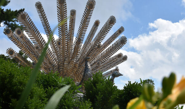 A bronze peacock sculpture with two peacocks, one extending it's feathers in a large display, with green foliage in the foreground and a blue sky with puffy clouds in the background.
