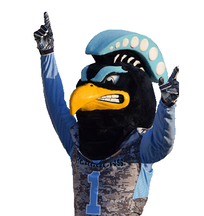 UIU's mascot, a peacock with a gold beak and lighth blue feather crown of feathers on their head raises hands in triumph