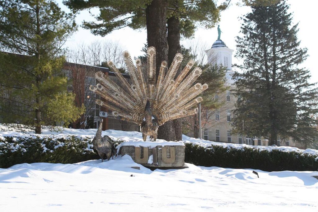 Peacock sculpture with its tail feathers fanned wide, standing on a stone base engraved “UIU,” surrounded by snow-covered trees and campus buildings in winter.